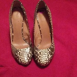 Sassy high heel size 8.5.snakeskin